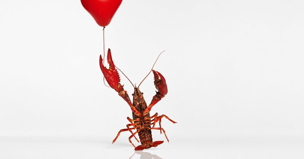 DROPIDEA | دروب ايديا - When Artificial Intelligence Becomes a Mediator in Our Love Lives