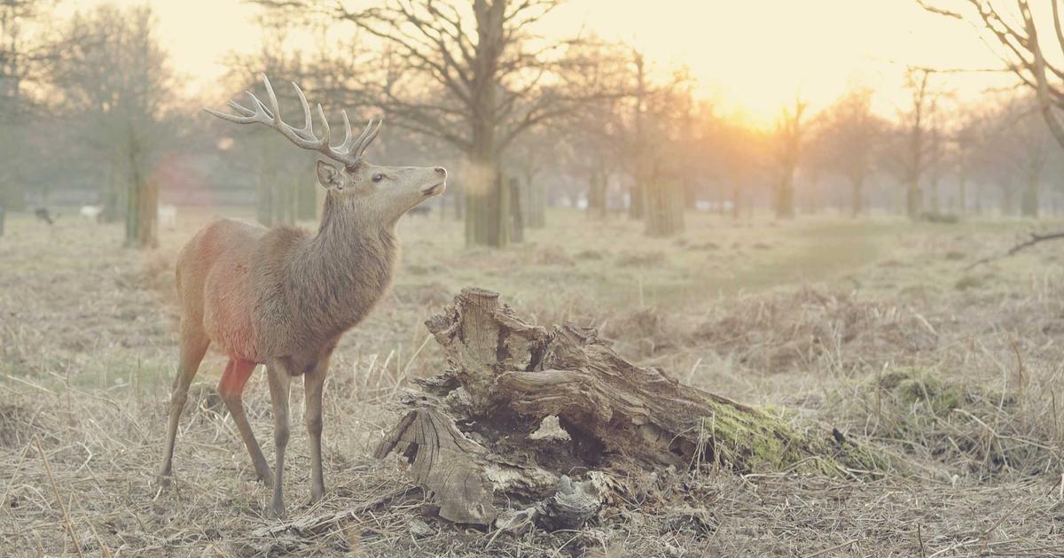 DROPIDEA | دروب ايديا - 10 features of digital advertising that you cannot find in traditional advertising methods