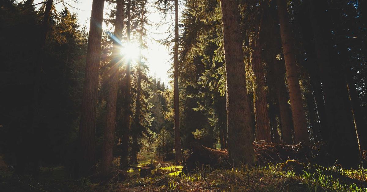 DROPIDEA | دروب ايديا - 5 cryptocurrencies to watch in February