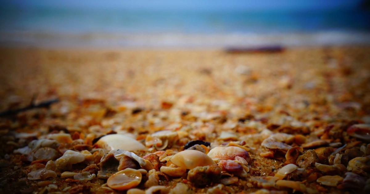 DROPIDEA | دروب ايديا - 5 little-known tricks about the Recycle Bin tool in Windows