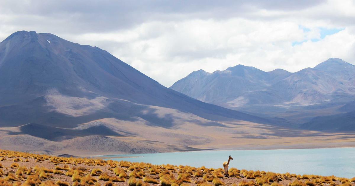 DROPIDEA | دروب ايديا - Facebook Stories ads are cheaper and there are 3 million advertisers using them