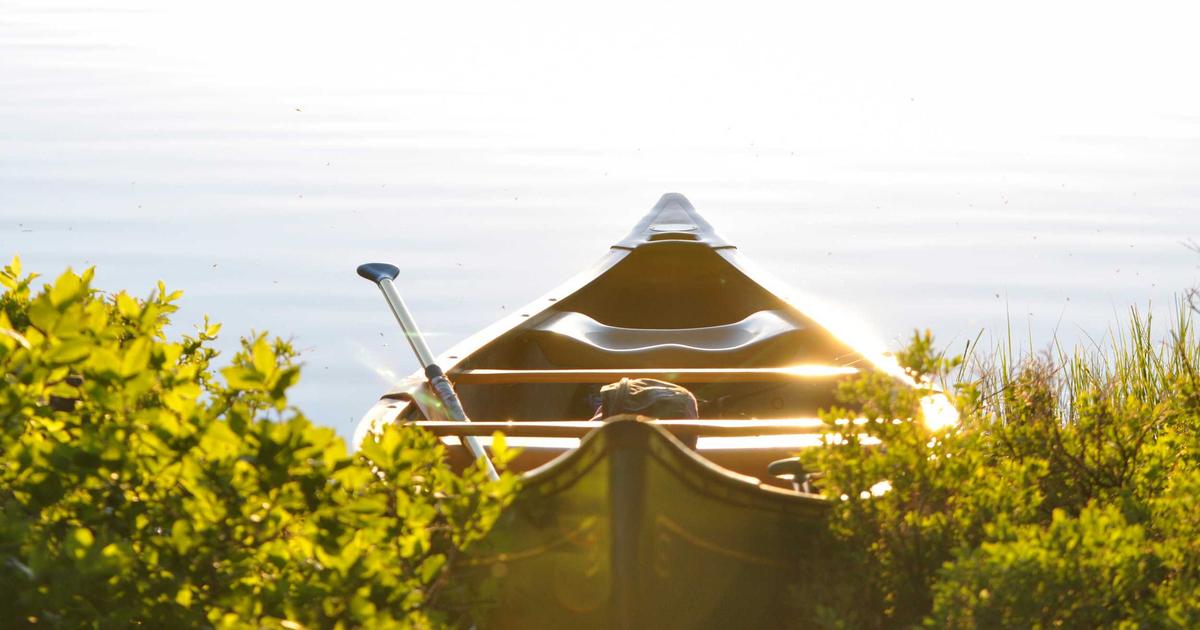 DROPIDEA | دروب ايديا - Cryptocurrencies achieve new numbers, so do not miss the opportunity to invest in them