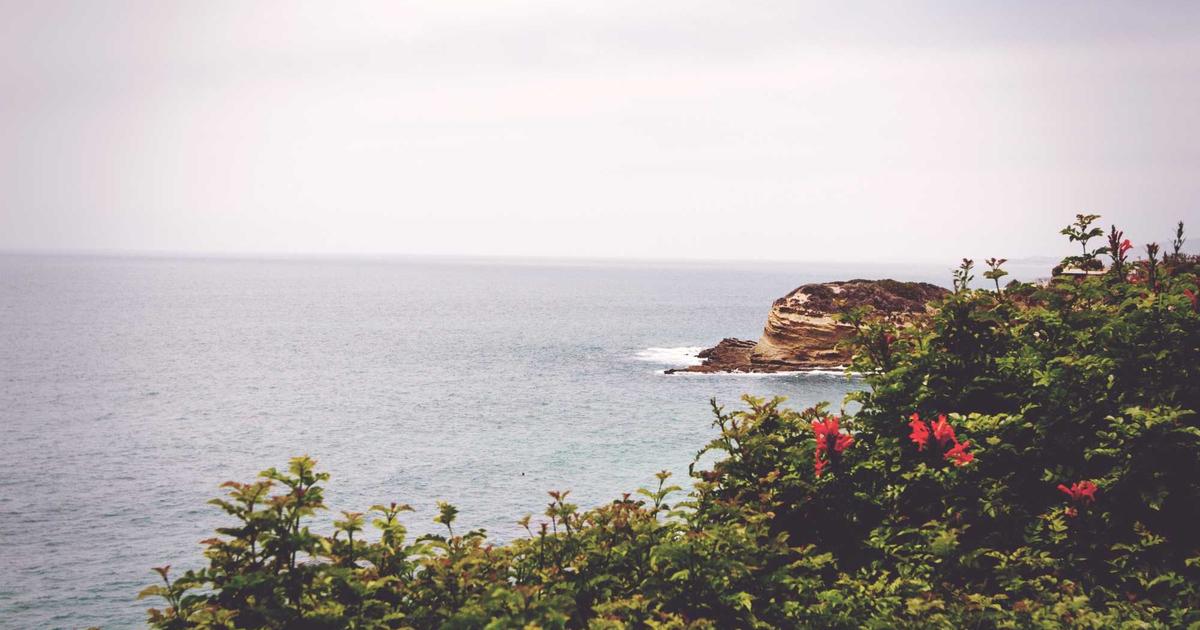 DROPIDEA | دروب ايديا - Rank Math SEO plugin now supports the new WordPress editor