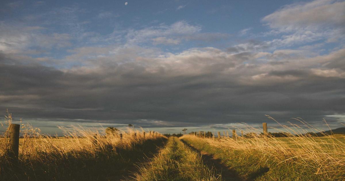 DROPIDEA | دروب ايديا - The 7 Best Free and Paid Firewall Software of 2025: Your Complete Guide