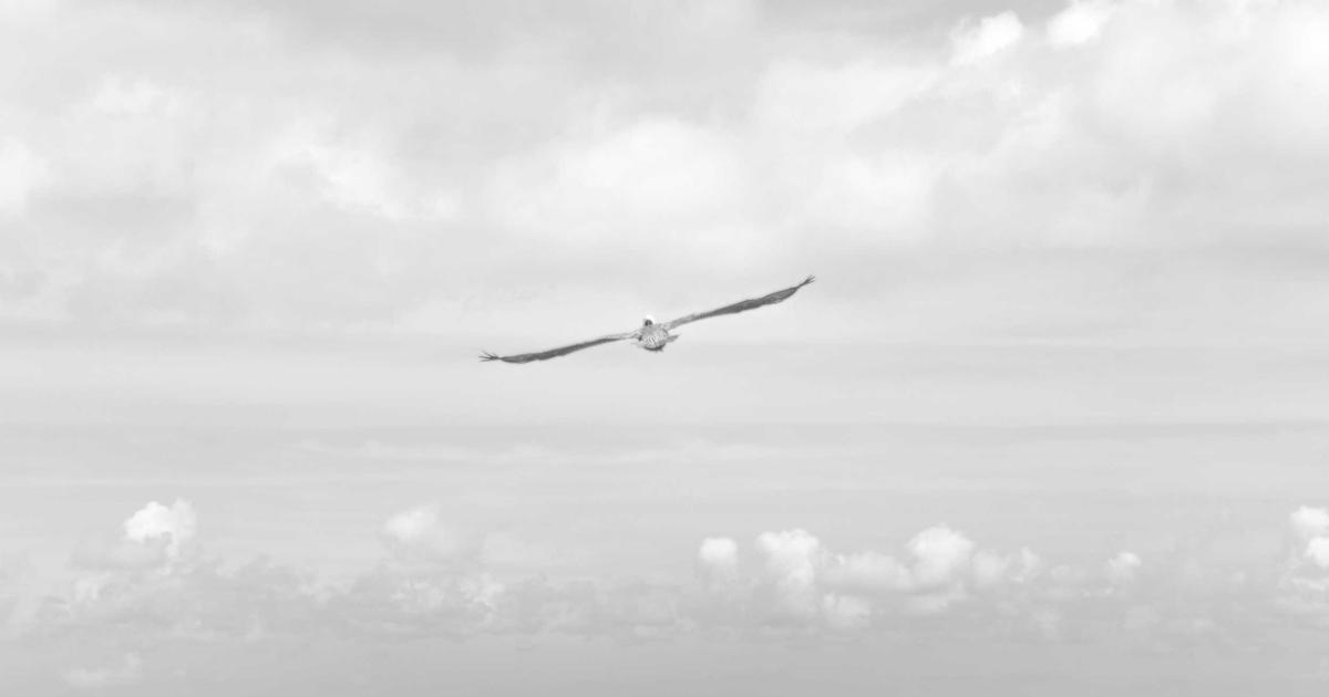 DROPIDEA | دروب ايديا - The best Amazon Saudi Arabia offers and discounts this week