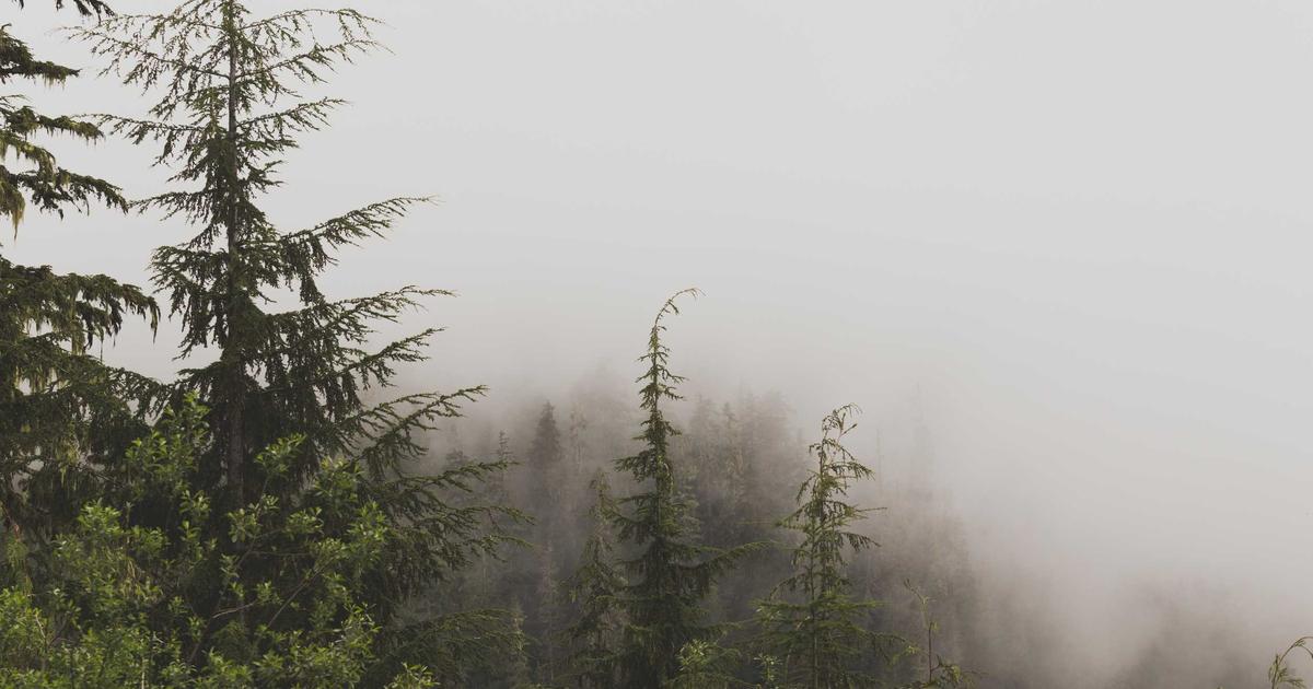 DROPIDEA | دروب ايديا - The best prayer times applications for Android phones