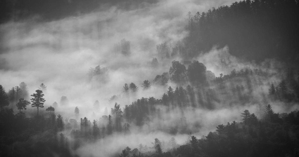 DROPIDEA | دروب ايديا - Virtual digital currencies and how they are dealt with