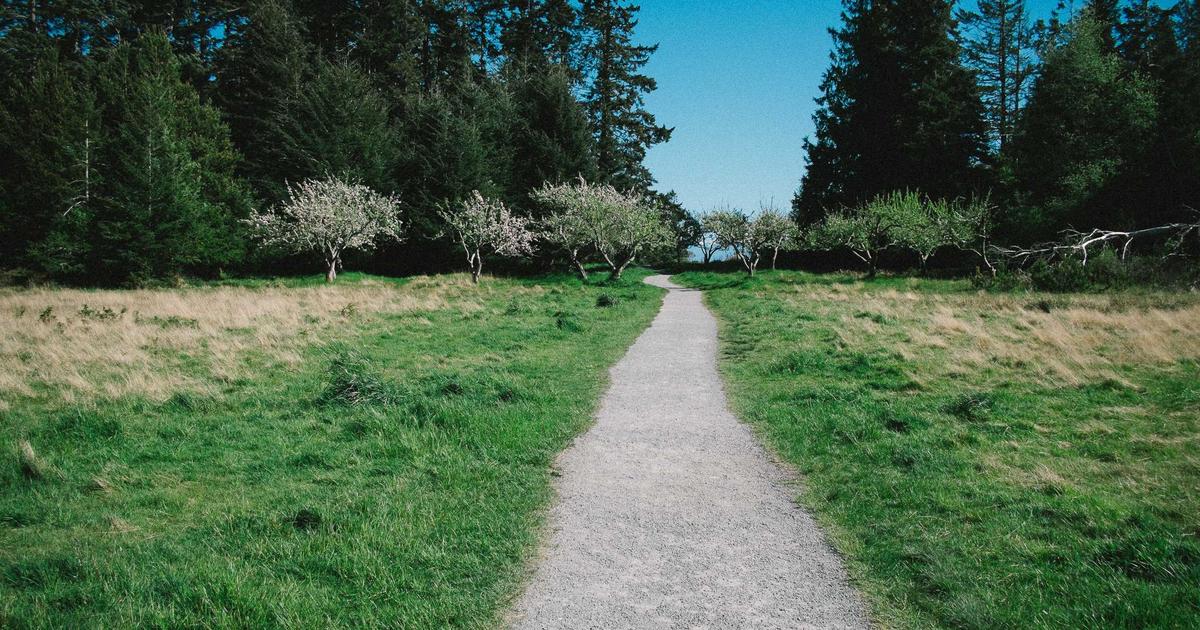 DROPIDEA | دروب ايديا - The MSI GE75 Raider 10SFS laptop provides the power of Infomedia ray tracing processors