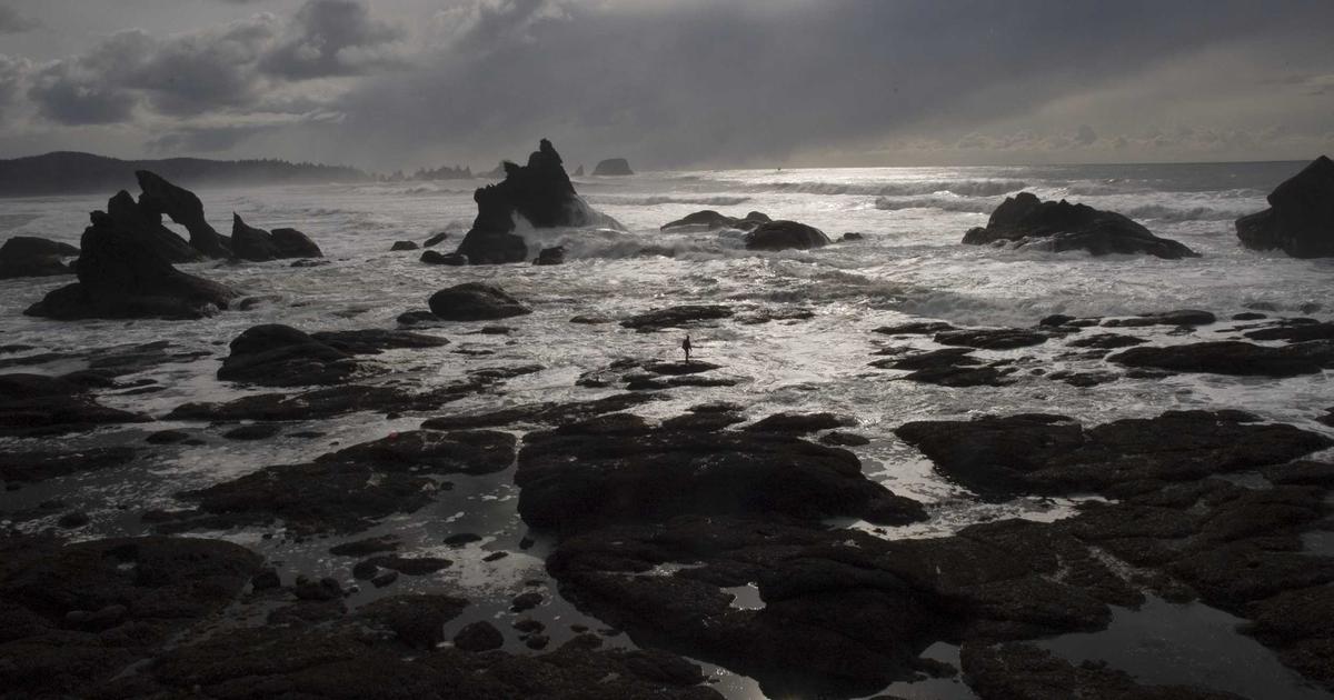 DROPIDEA | دروب ايديا - Instagram marketing trends that advertisers and businesses need to know