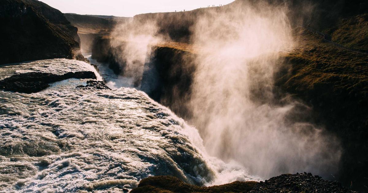 DROPIDEA | دروب ايديا - Your comprehensive guide to learning about the Pigeonsol coin and its future