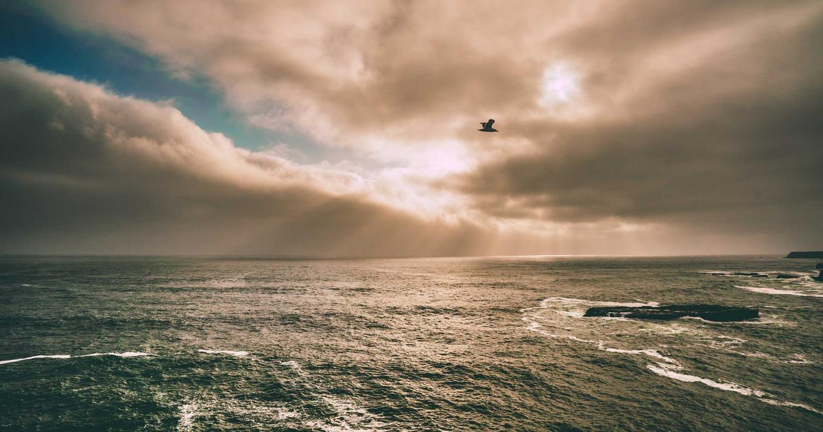 DROPIDEA | دروب ايديا - Facebook abandons Diem digital currency project