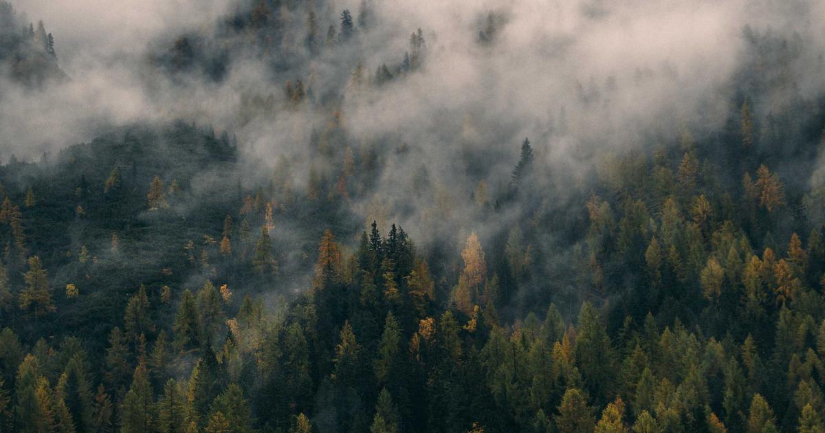 DROPIDEA | دروب ايديا - Solve the problem of the Windows Store not opening in Windows 8 and Windows 8.1