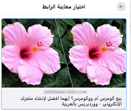 DROPIDEA | دروب ايديا - Solve the problem of the thumbnail of your article not appearing when publishing on social media platforms