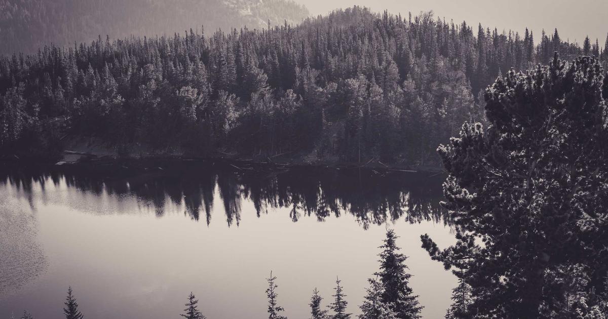 DROPIDEA | دروب ايديا - Everything you need to know about the PortalBridge cryptocurrency exchange platform