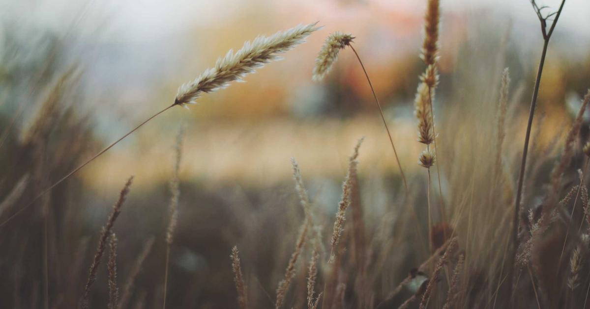 DROPIDEA | دروب ايديا - How much does CAC cost in marketing?