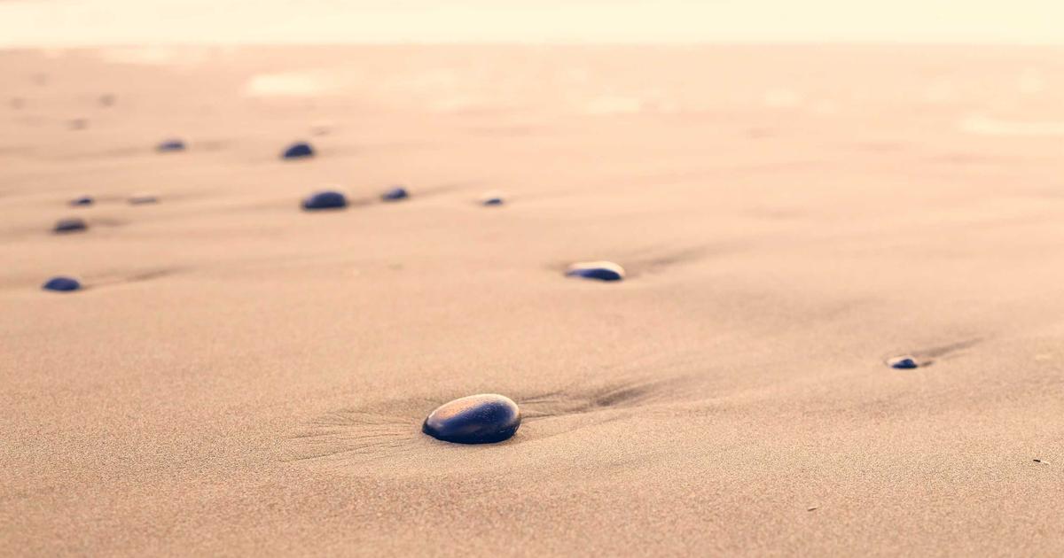 DROPIDEA | دروب ايديا - How do you generate continuous income through the EarnHUB platform?