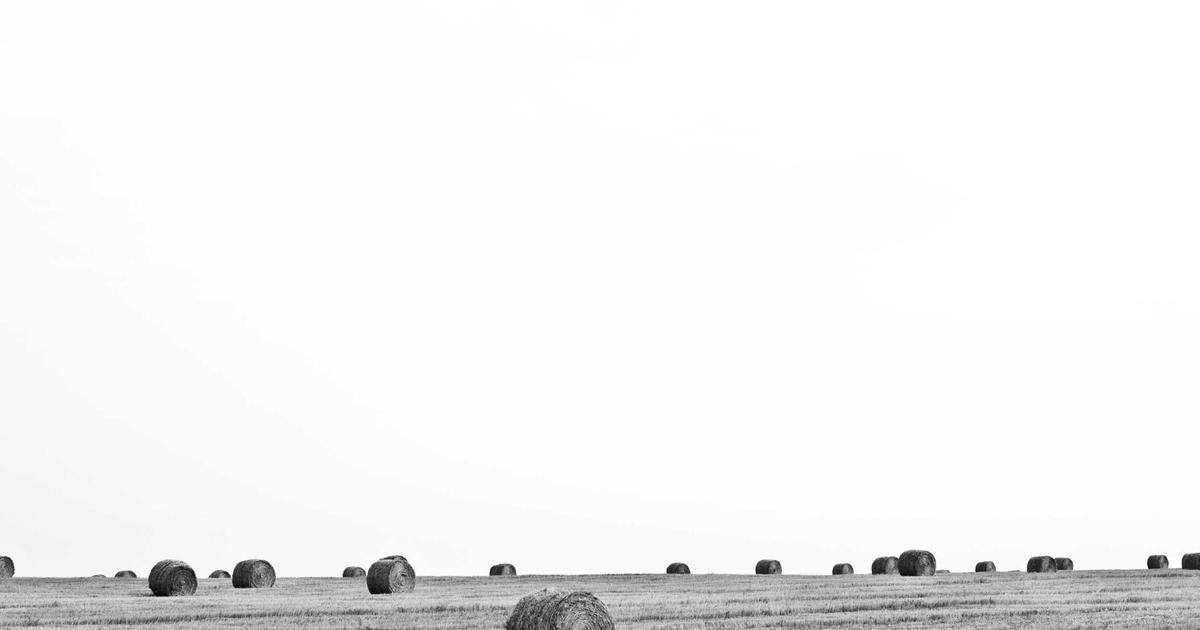 DROPIDEA | دروب ايديا - How to get the caller name pronunciation feature on Android