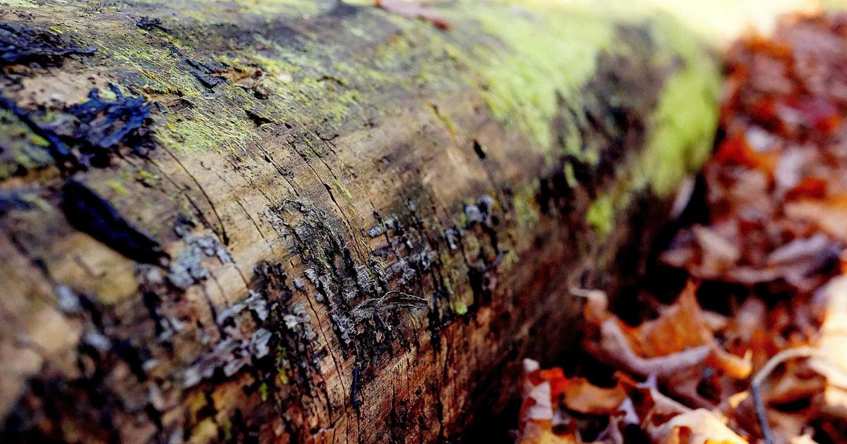 DROPIDEA | دروب ايديا - How to fix office documents that can't be opened (xlsx/docx/pptx/pdf)