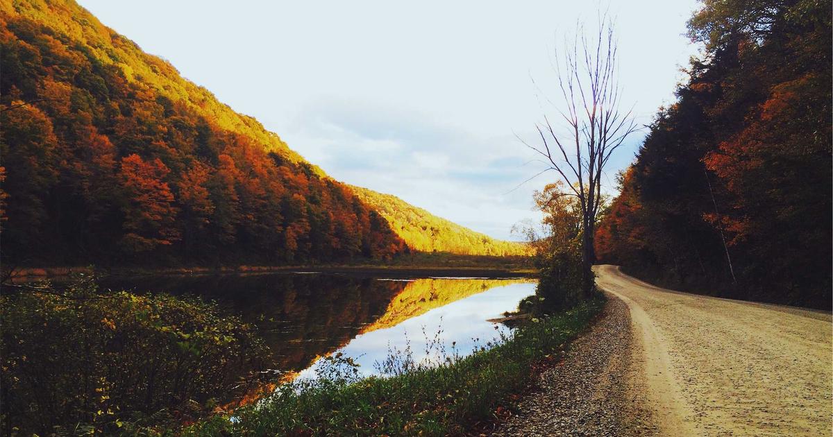 DROPIDEA | دروب ايديا - How to write a search engine specialist job description