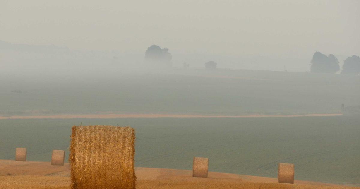 DROPIDEA | دروب ايديا - How to find out who watched your live broadcast on Facebook