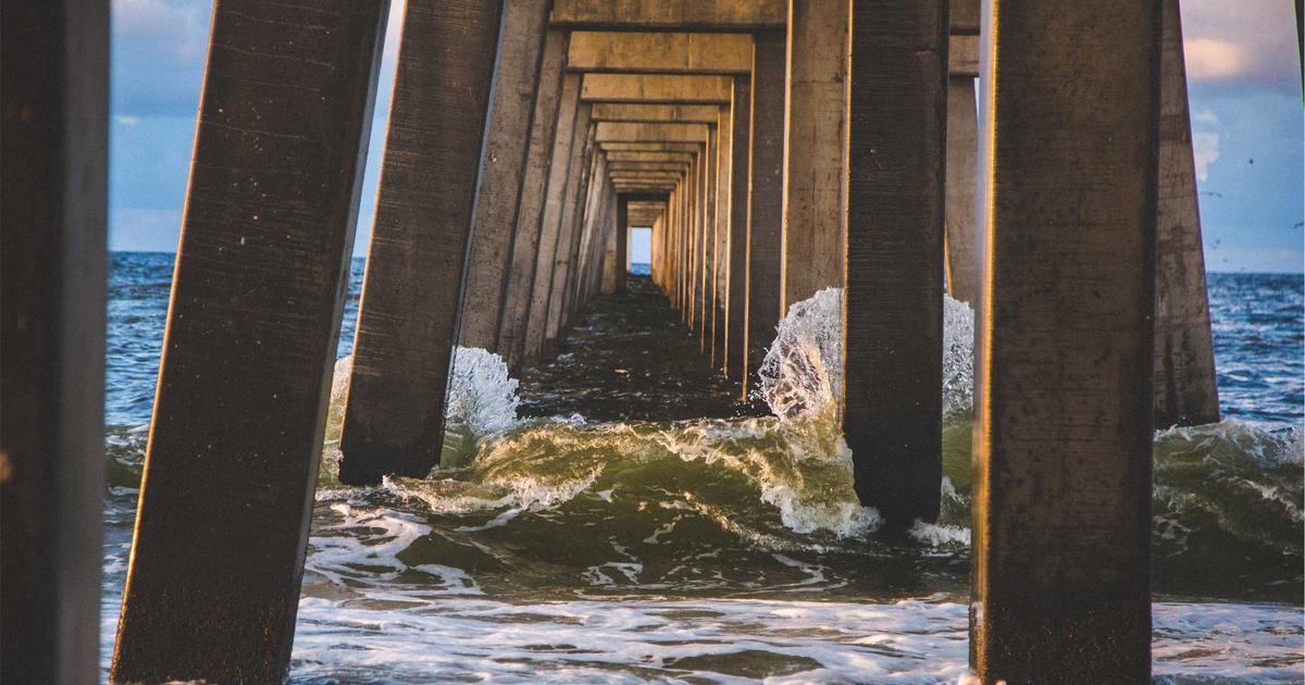 DROPIDEA | دروب ايديا - How to buy a domain suitable for a WordPress site