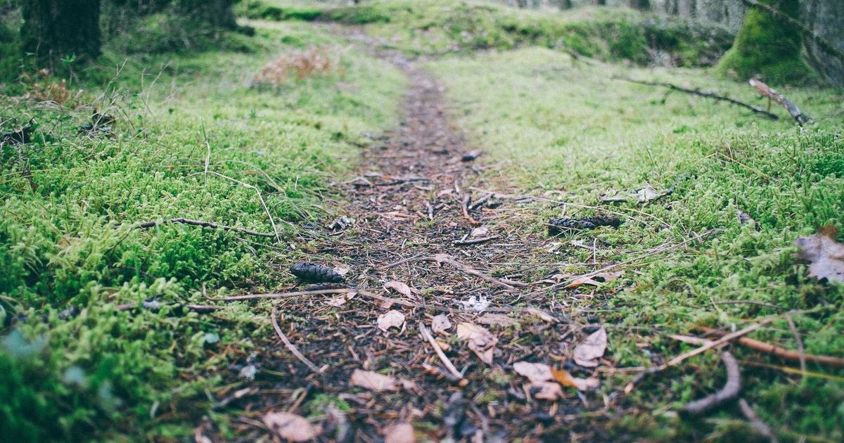 DROPIDEA | دروب ايديا - Why you should use the Certik platform to ensure the reliability of cryptocurrencies