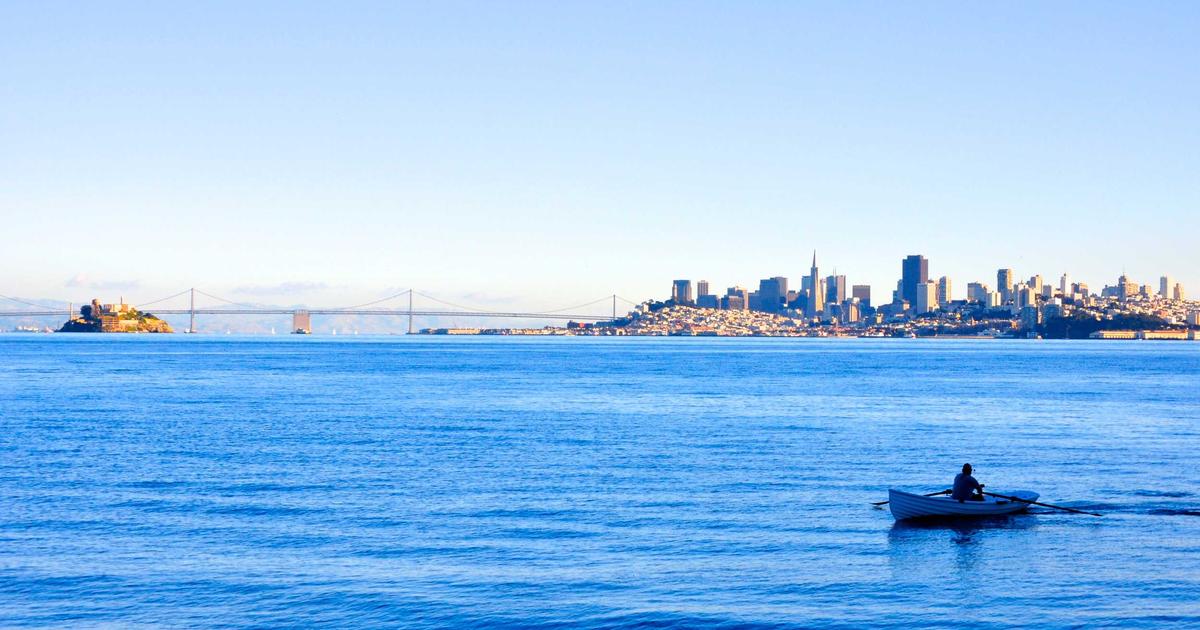 DROPIDEA | دروب ايديا - Why Live Coin Watch is the best platform to monitor cryptocurrency movements