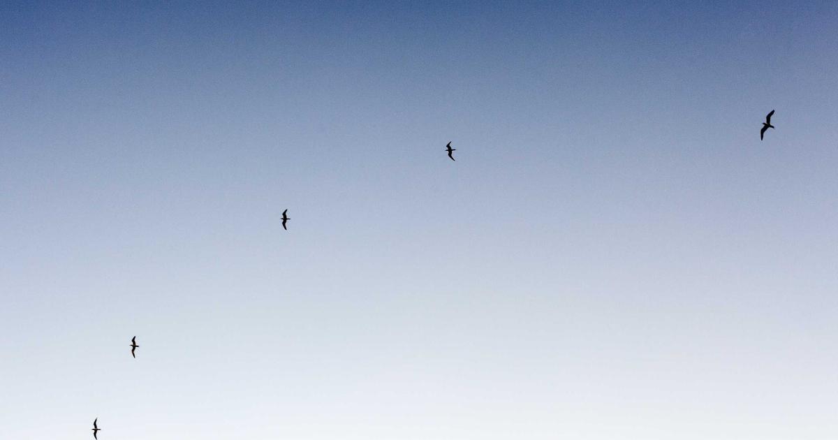 DROPIDEA | دروب ايديا - You won't have to worry about finding new ideas for your articles anymore