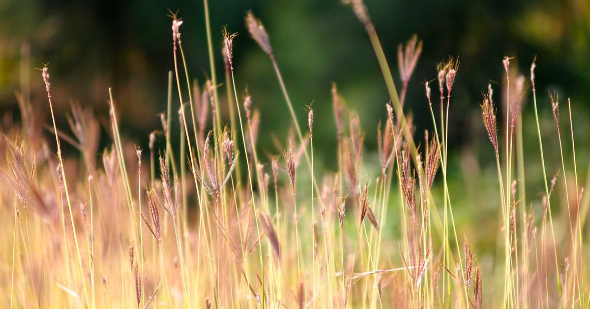 DROPIDEA | دروب ايديا - What is the truth about online trading and what everyone should do