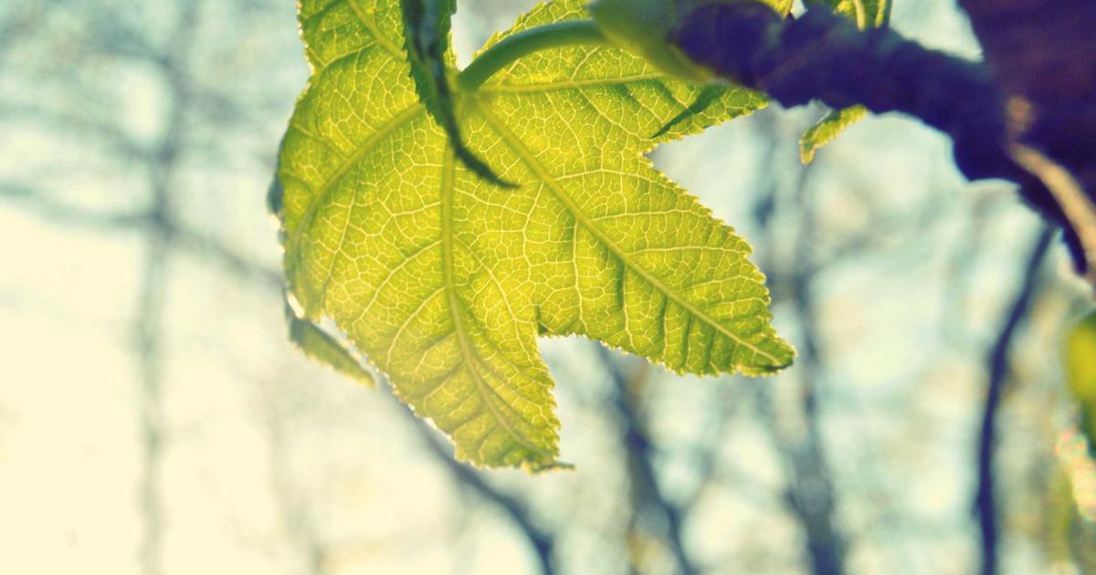 DROPIDEA | دروب ايديا - What are PancakeSwap and UniSwap and what is the difference between them?