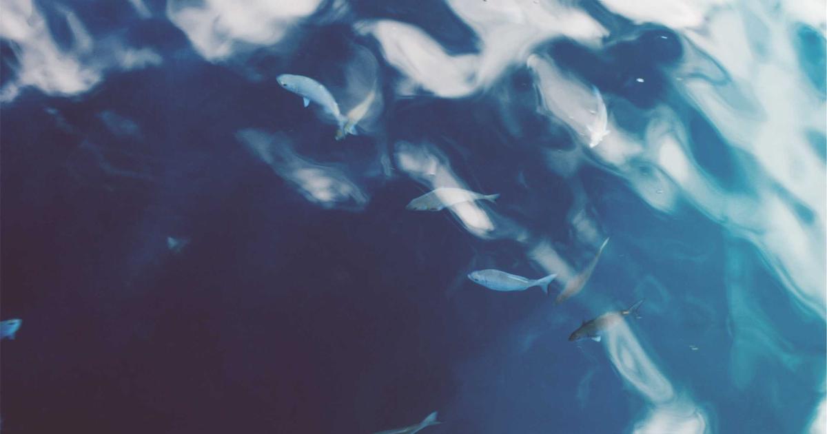 DROPIDEA | دروب ايديا - Binance platform obtains licenses to officially use its services in Bahrain