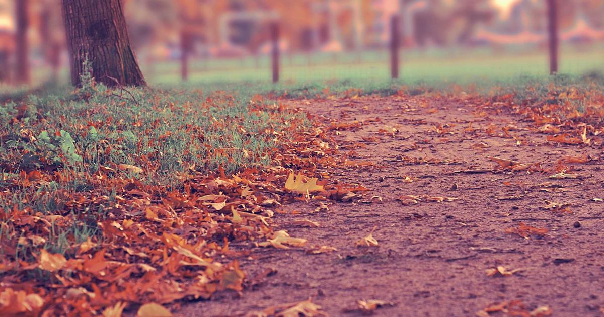 DROPIDEA | دروب ايديا - Indicators of improved performance and energy efficiency of the Apple A14 processor