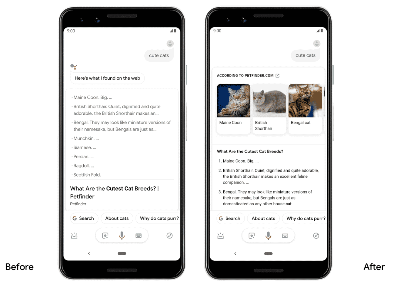 DROPIDEA | دروب ايديا - Google Assistant will cover detailed search results on Android devices