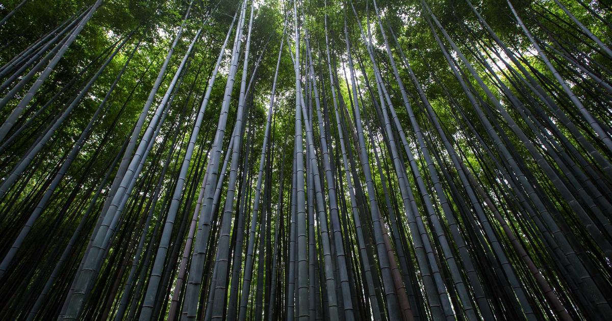 DROPIDEA | دروب ايديا - WhatsApp will stop working on these devices during 2020