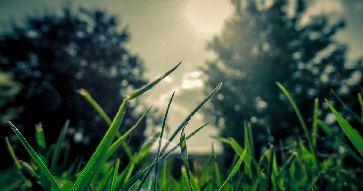 DROPIDEA | دروب ايديا - Snapchat intends to compete with Facebook in advertising with this solution