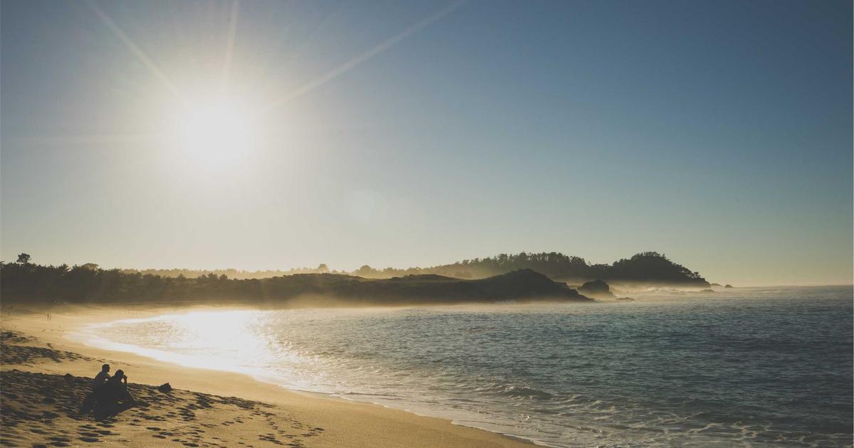 DROPIDEA | دروب ايديا - Nvidia's Game Ready Driver update brings excitement and fun to F1 23'