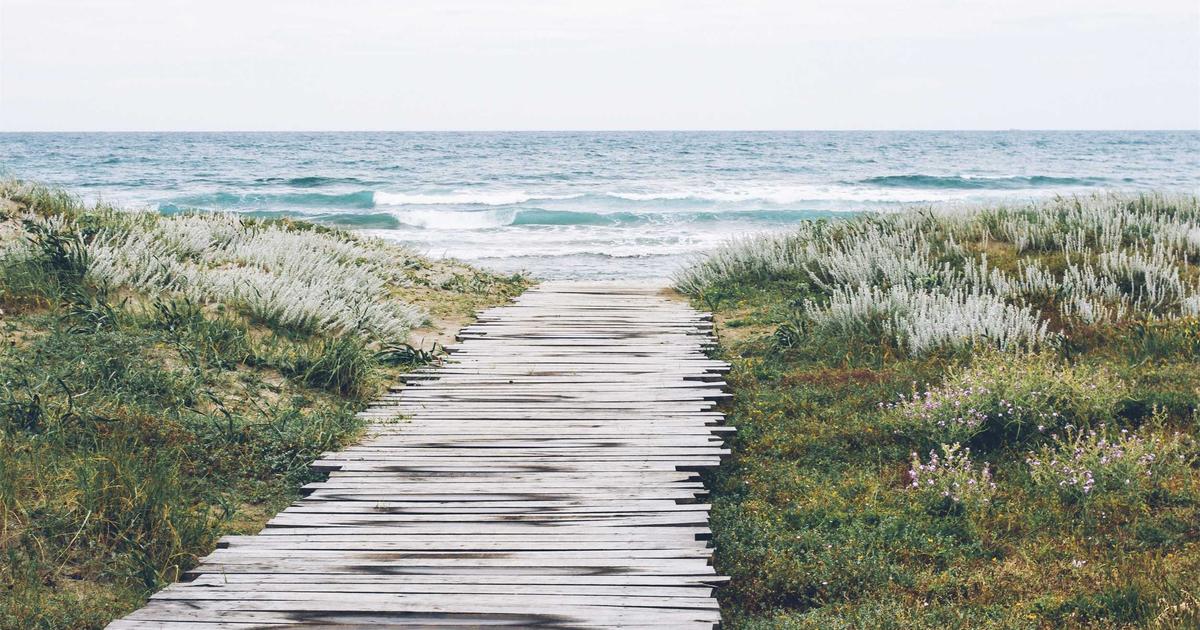 DROPIDEA | دروب ايديا - A new update released by Google, quickly check your site’s ranking