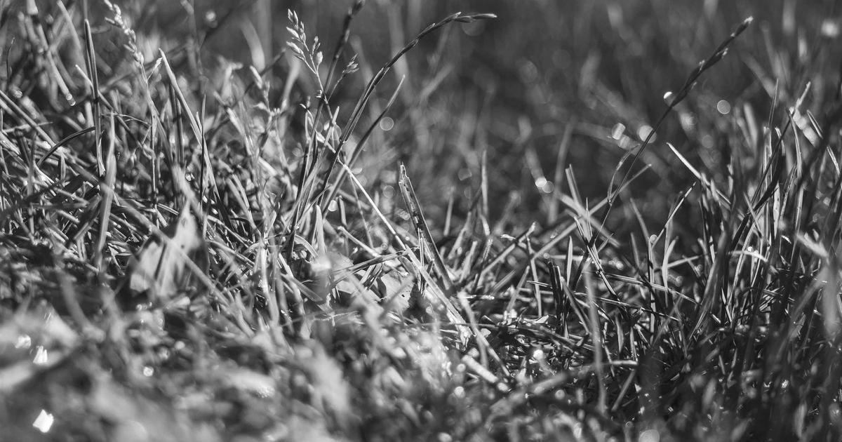 DROPIDEA | دروب ايديا - WhatsApp's distinctive technology is to use one account on more than one device