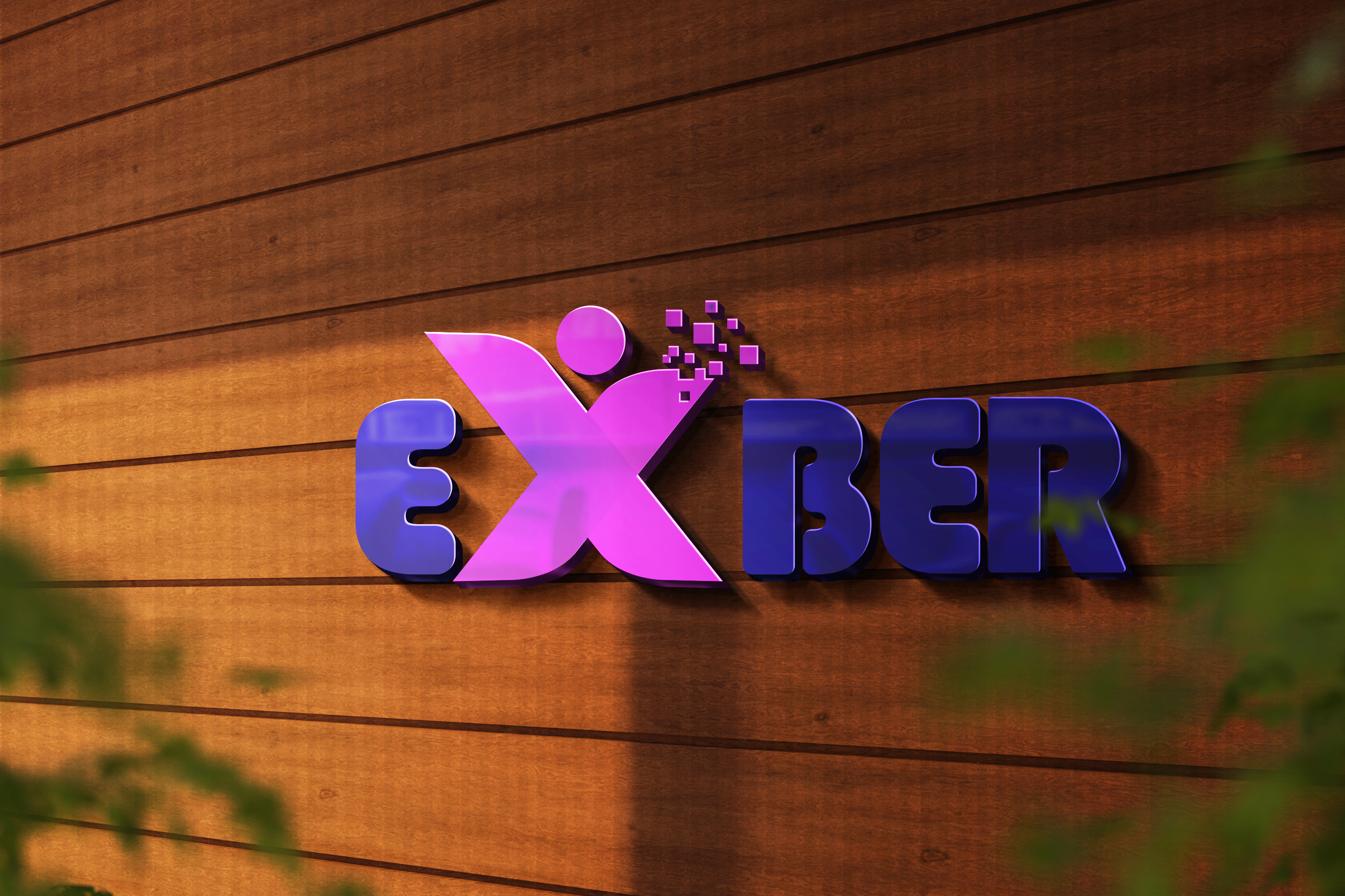 Professional Logo Design