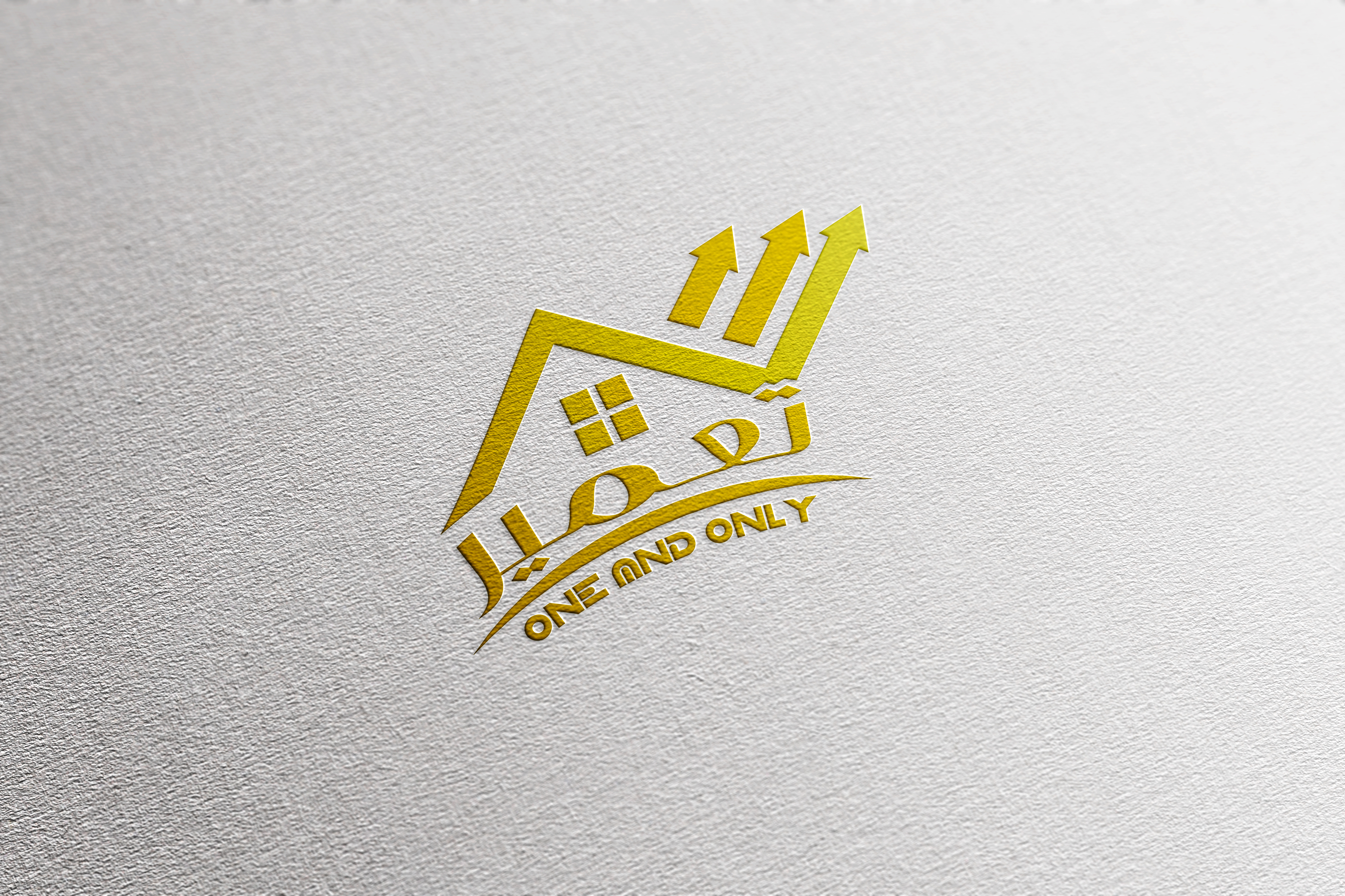 Professional Logo Design